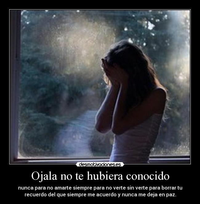 Ojala no te hubiera conocido - nunca para no amarte siempre para no verte sin verte para borrar tu
recuerdo del que siempre me acuerdo y nunca me deja en paz.