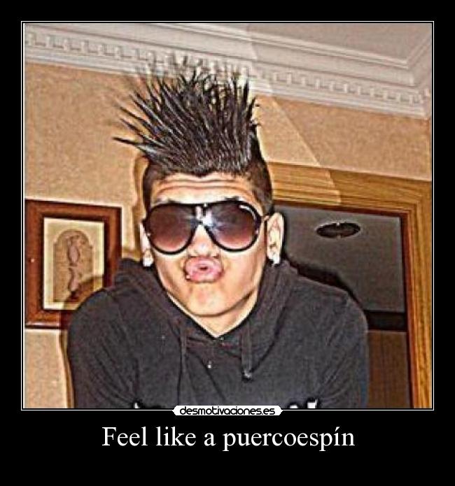 carteles feel like puercoespin desmotivaciones