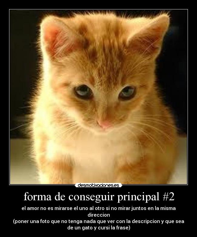 carteles forma conseguir una principal desmotivaciones