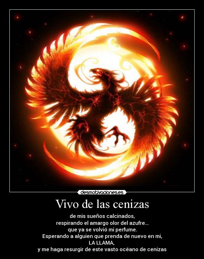 carteles resubido por problema ortografico desmotivaciones