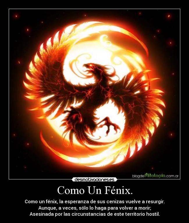 Como Un Fénix. - Como un fénix, la esperanza de sus cenizas vuelve a resurgir.
Aunque, a veces, sólo lo haga para volver a morir;
Asesinada por las circunstancias de este territorio hostil.