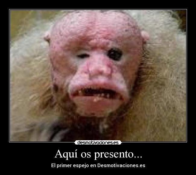 Aquí os presento... - 