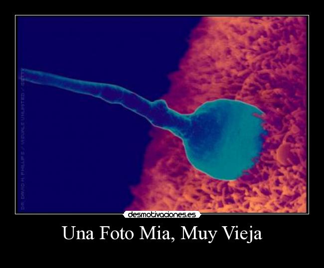 Una Foto Mia, Muy Vieja -
