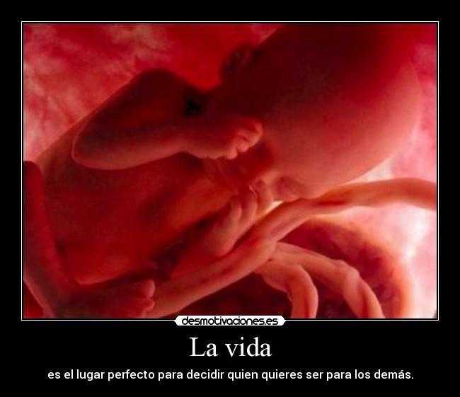 carteles vida desmotivaciones