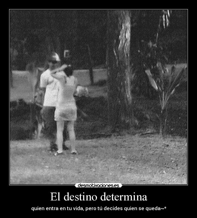 El destino determina - quien entra en tu vida, pero tú decides quien se queda~*