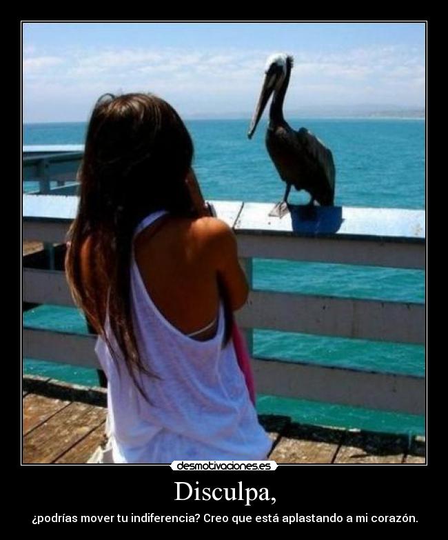 Disculpa, - ¿podrías mover tu indiferencia? Creo que está aplastando a mi corazón.