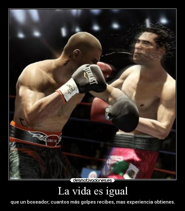 La vida es igual - que un boxeador; cuantos más golpes recibes, mas experiencia obtienes.