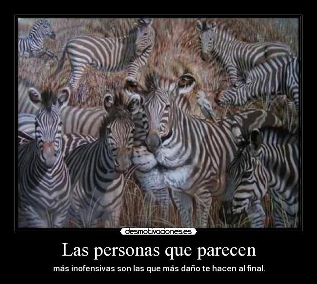 Las personas que parecen -