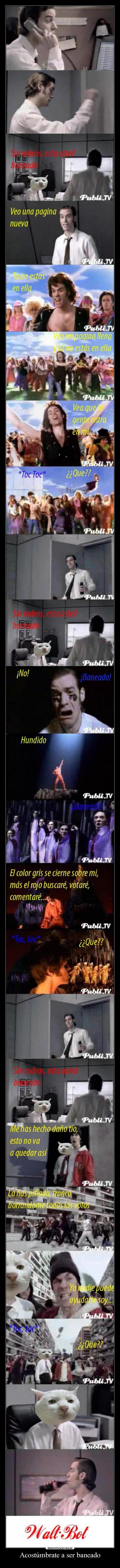 Acostúmbrate a ser baneado -