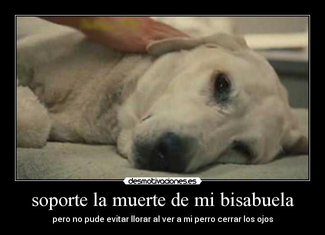 soporte la muerte de mi bisabuela -