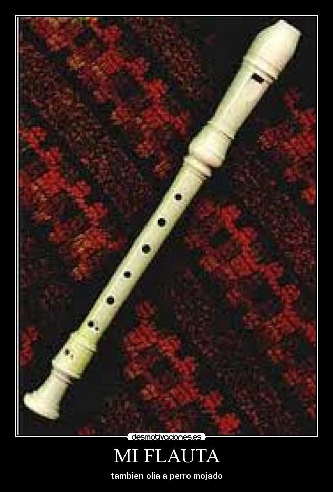 MI FLAUTA - tambien olia a perro mojado