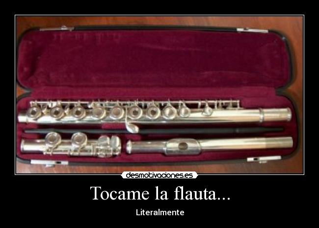 Tocame la flauta... - 