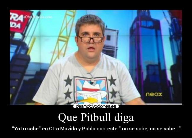 Que Pitbull diga -