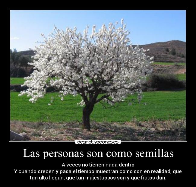 carteles tiempo personas semillas plantas desmotivaciones