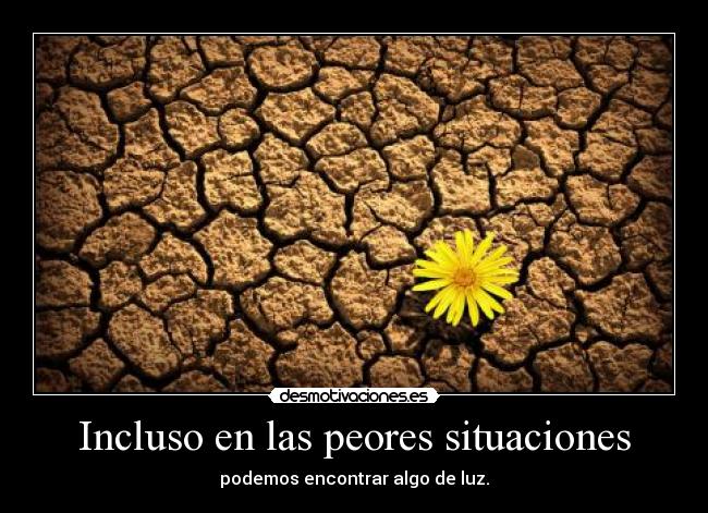 Incluso en las peores situaciones - podemos encontrar algo de luz.