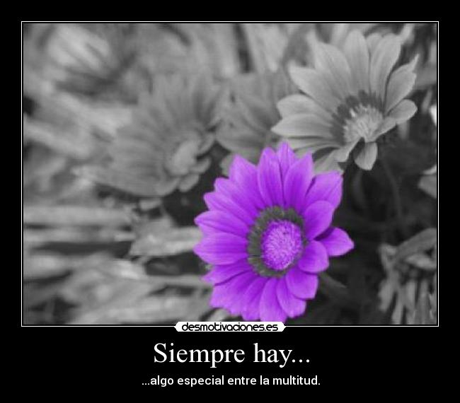 Siempre hay... -