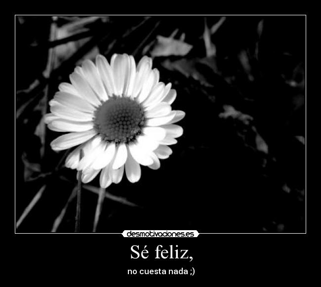 Sé feliz, - no cuesta nada ;)