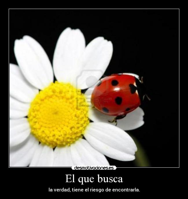 El que busca - la verdad, tiene el riesgo de encontrarla.