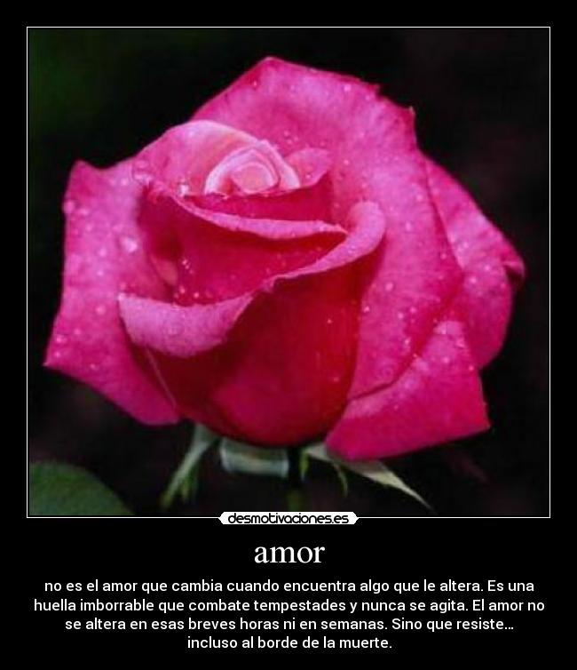 amor - no es el amor que cambia cuando encuentra algo que le altera. Es una
huella imborrable que combate tempestades y nunca se agita. El amor no
se altera en esas breves horas ni en semanas. Sino que resiste…
incluso al borde de la muerte.