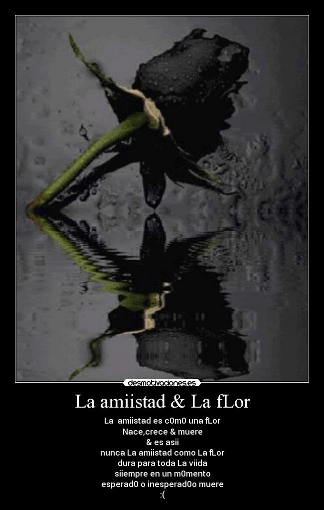 La amiistad & La fLor - La amiistad es c0m0 una fLor
Nace,crece & muere
& es asii
nunca La amiistad como La fLor
dura para toda La viida
siiempre en un m0mento
esperad0 o inesperad0o muere
:(