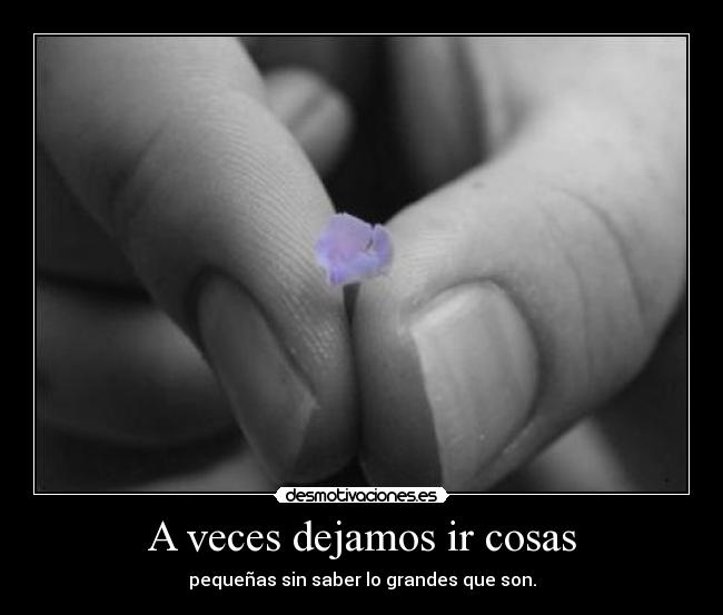 A veces dejamos ir cosas - 