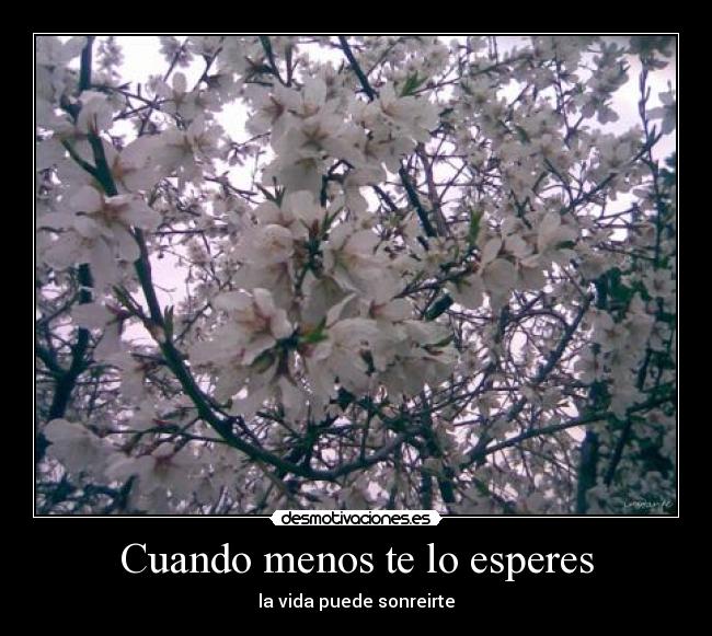 Cuando menos te lo esperes -