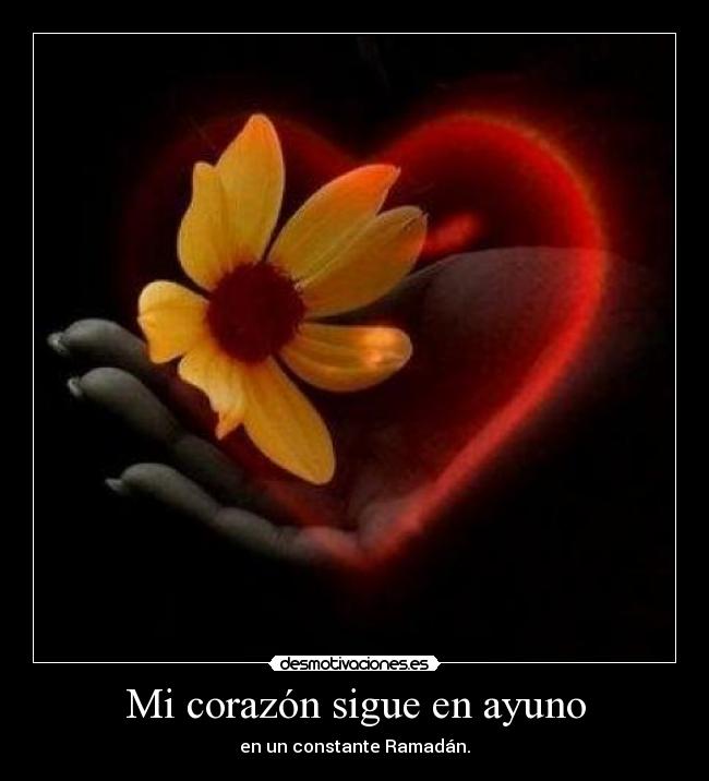 Mi corazón sigue en ayuno - 