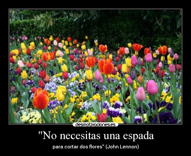 No necesitas una espada - para cortar dos flores (John Lennon)
