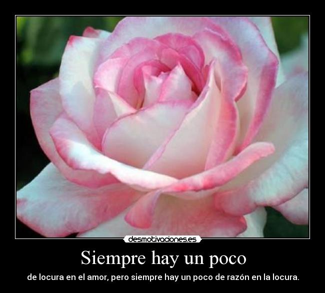 carteles senor las desmotivaciones desmotivaciones