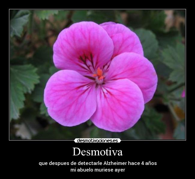 Desmotiva - que despues de detectarle Alzheimer hace 4 años
mi abuelo muriese ayer