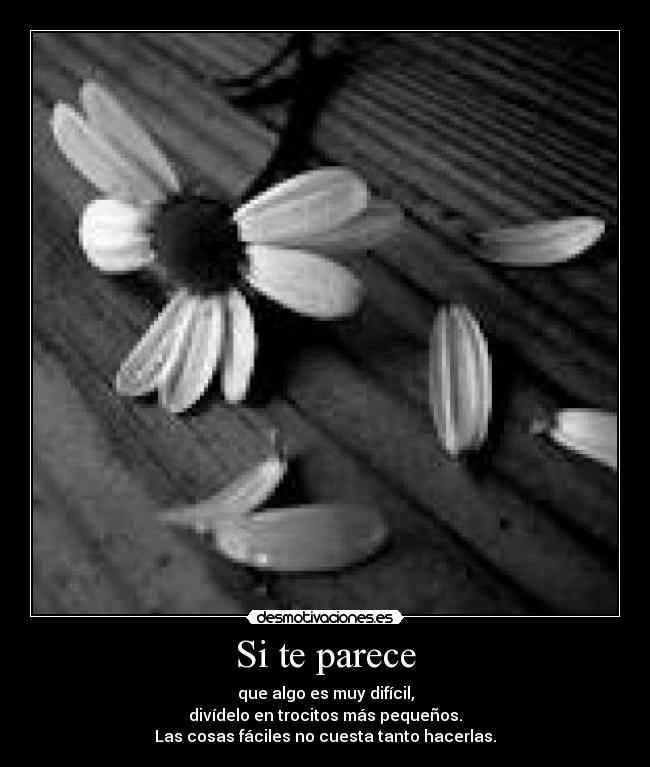 Si te parece -