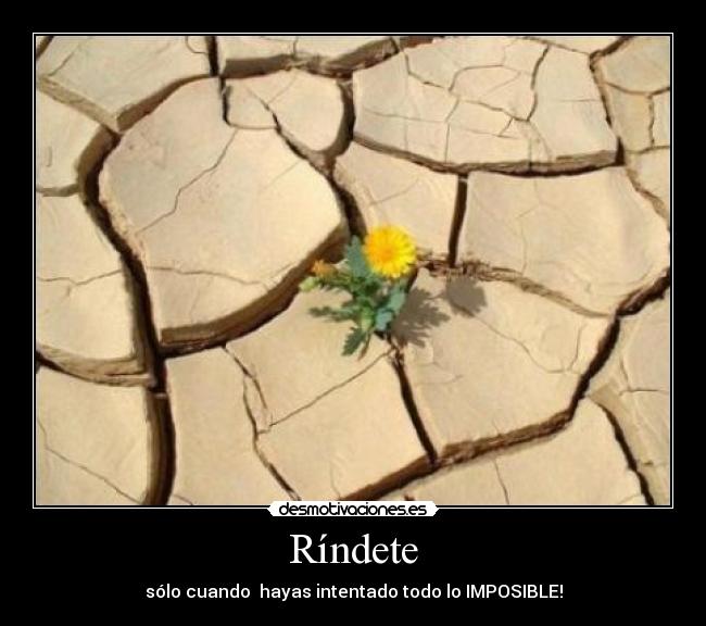 carteles posible desmotivaciones