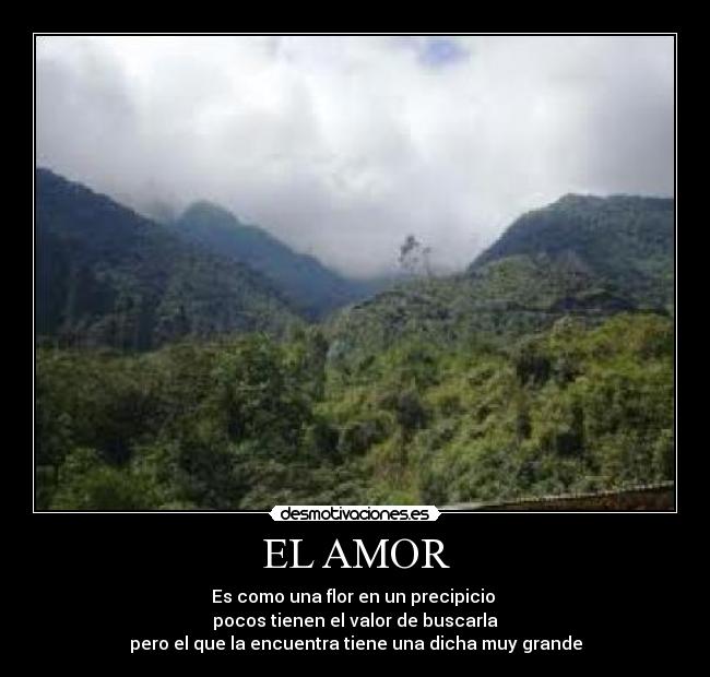 EL AMOR - Es como una flor en un precipicio
pocos tienen el valor de buscarla
pero el que la encuentra tiene una dicha muy grande