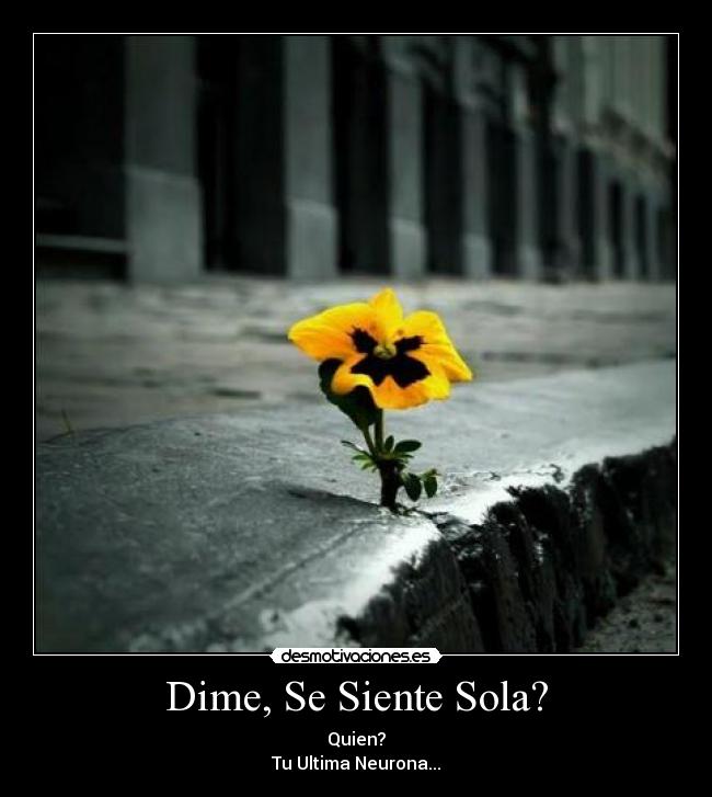 Dime, Se Siente Sola? - Quien?
Tu Ultima Neurona...