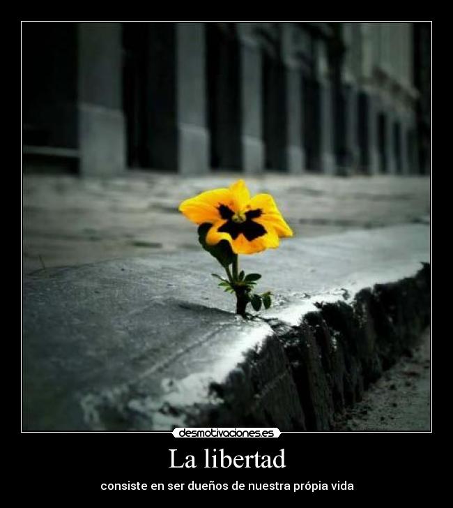 La libertad - 