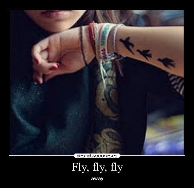 Fly, fly, fly - away