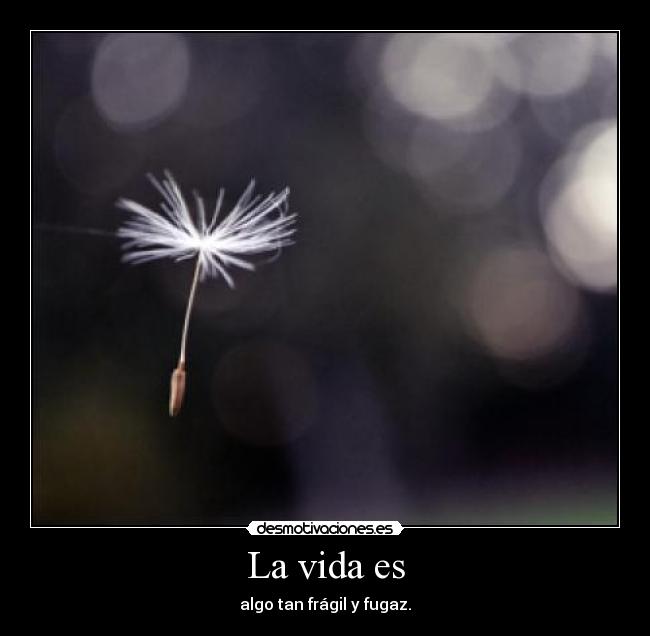 La vida es - algo tan frágil y fugaz.