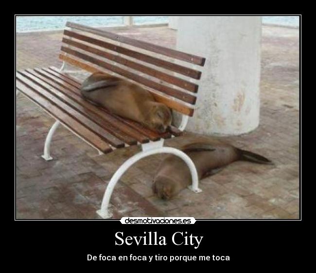 Sevilla City - De foca en foca y tiro porque me toca