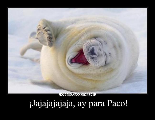 ¡Jajajajajaja, ay para Paco! -