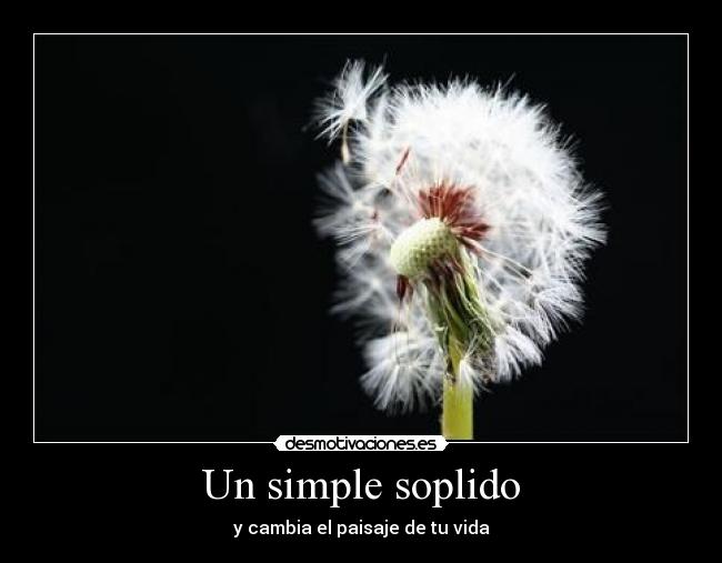 carteles paisaje vida desmotivaciones