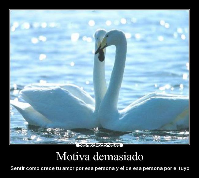 Motiva demasiado - Sentir como crece tu amor por esa persona y el de esa persona por el tuyo