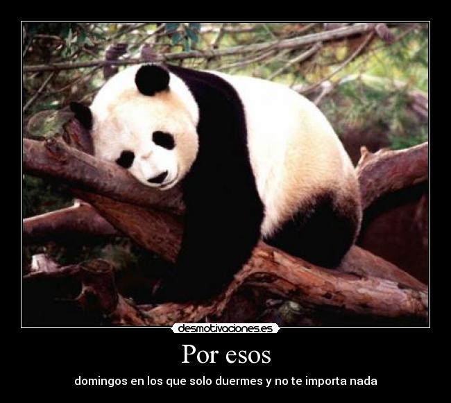 Por esos - domingos en los que solo duermes y no te importa nada