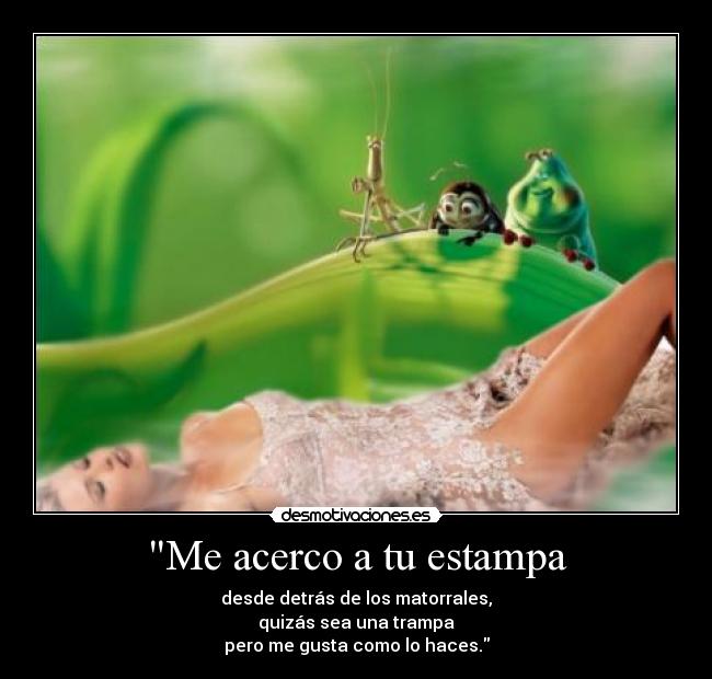 Me acerco a tu estampa - desde detrás de los matorrales,
quizás sea una trampa
pero me gusta como lo haces.