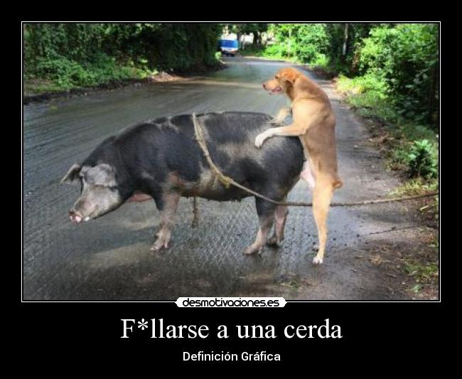 F*llarse a una cerda - 