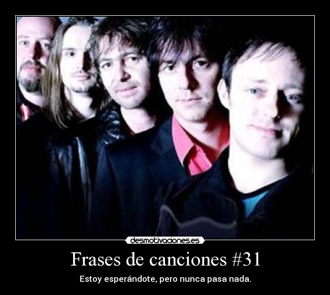 carteles frases fools garden lemon tree desmotivaciones