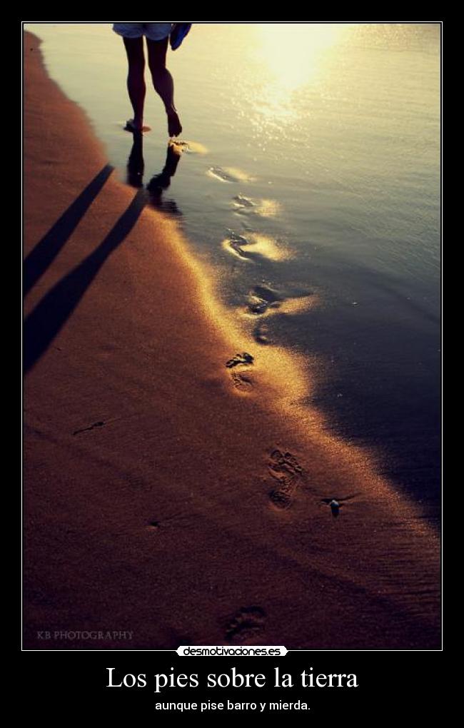 Los pies sobre la tierra -