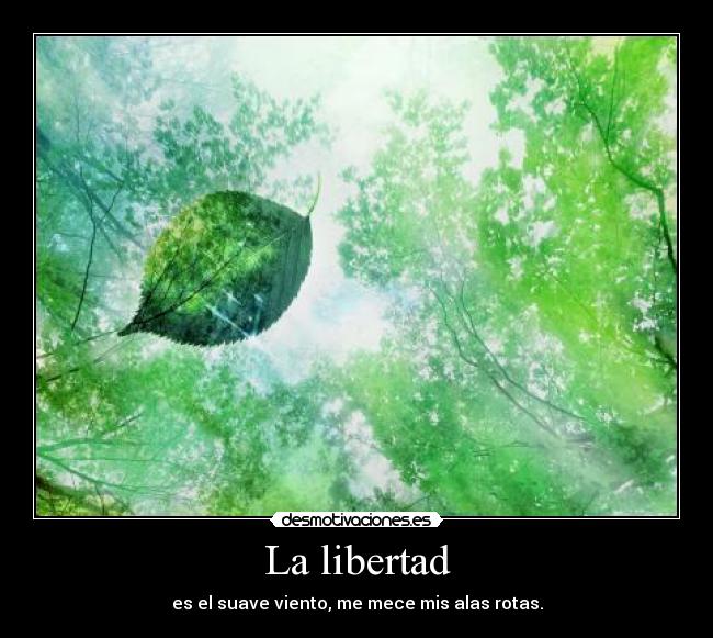 La libertad - es el suave viento, me mece mis alas rotas.