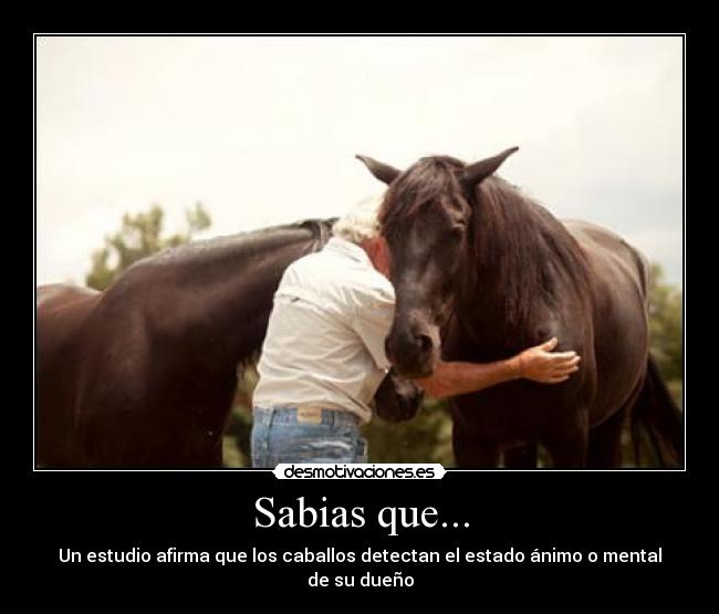 Sabias que... - 