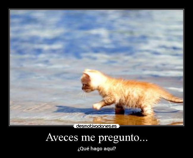 carteles preguntarse desmotivaciones