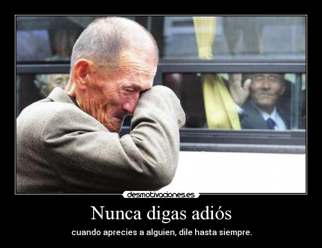 Nunca digas adiós -